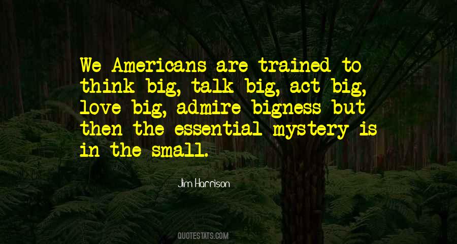 Think Big Act Small Quotes #315312