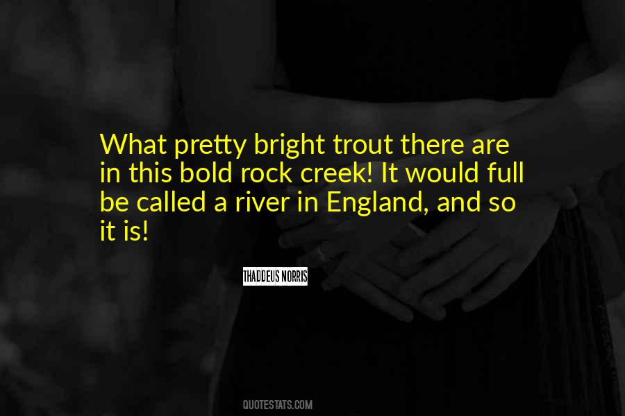 This Is England Quotes #403197