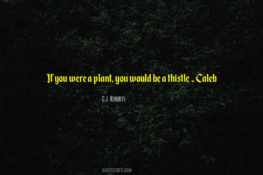 Thistle Quotes #1489378