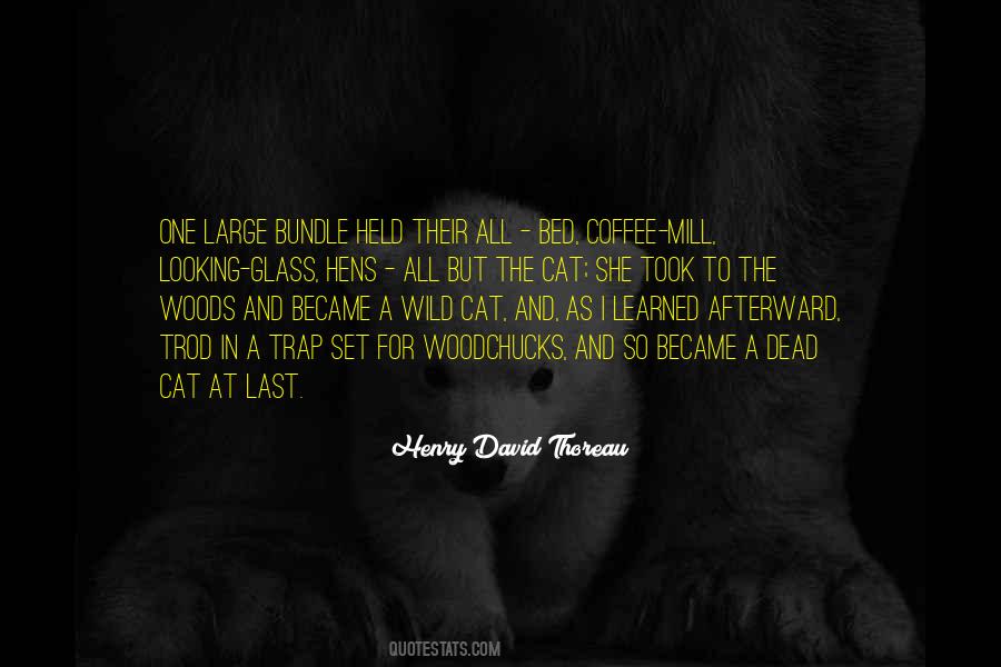 Thoreau Into The Woods Quotes #1047902