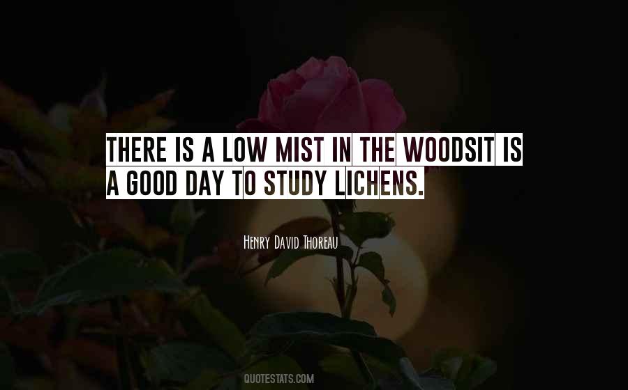 Thoreau Into The Woods Quotes #27397