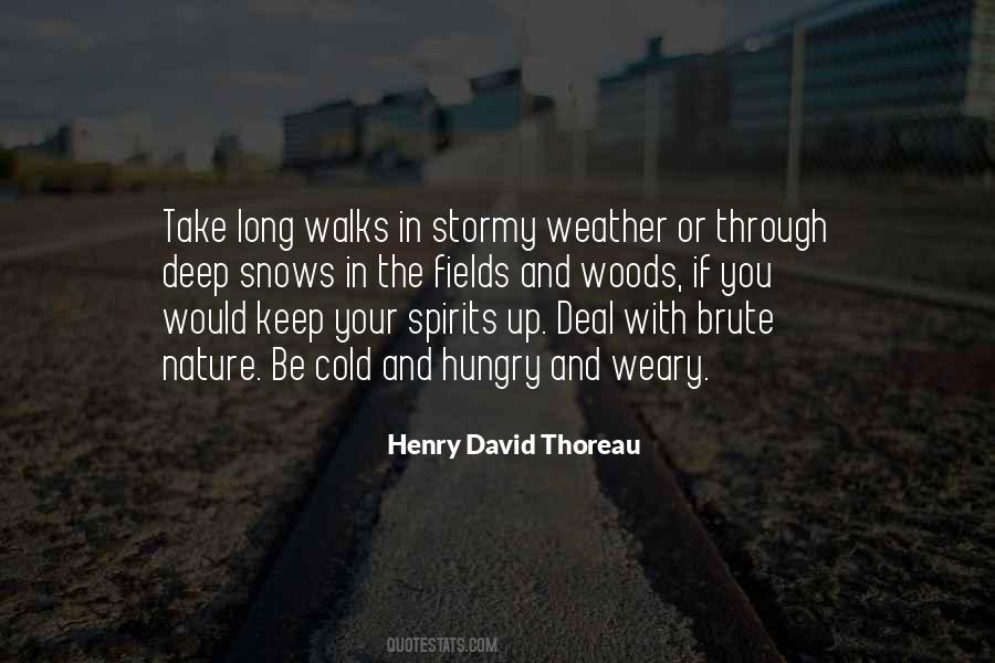 Thoreau Into The Woods Quotes #339059