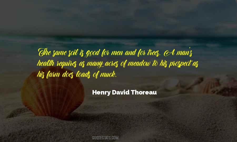 Thoreau's Quotes #354668