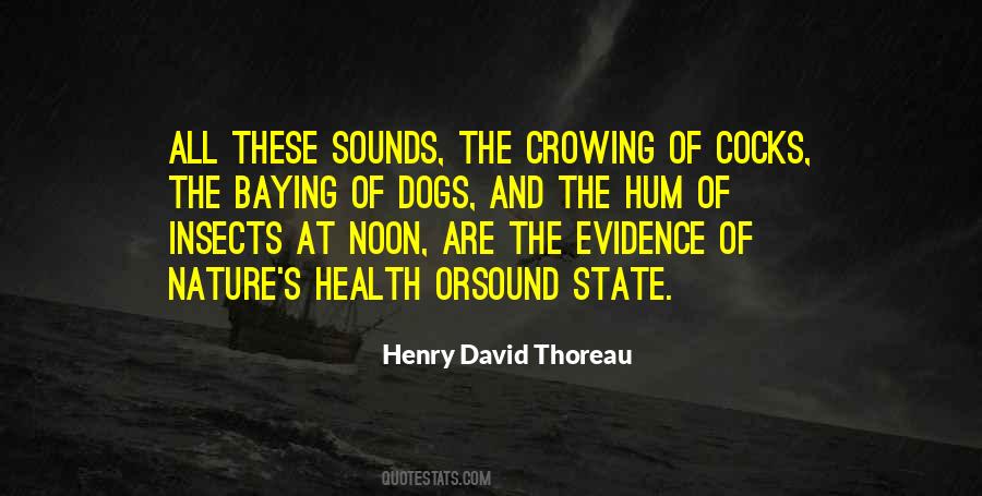 Thoreau's Quotes #485798