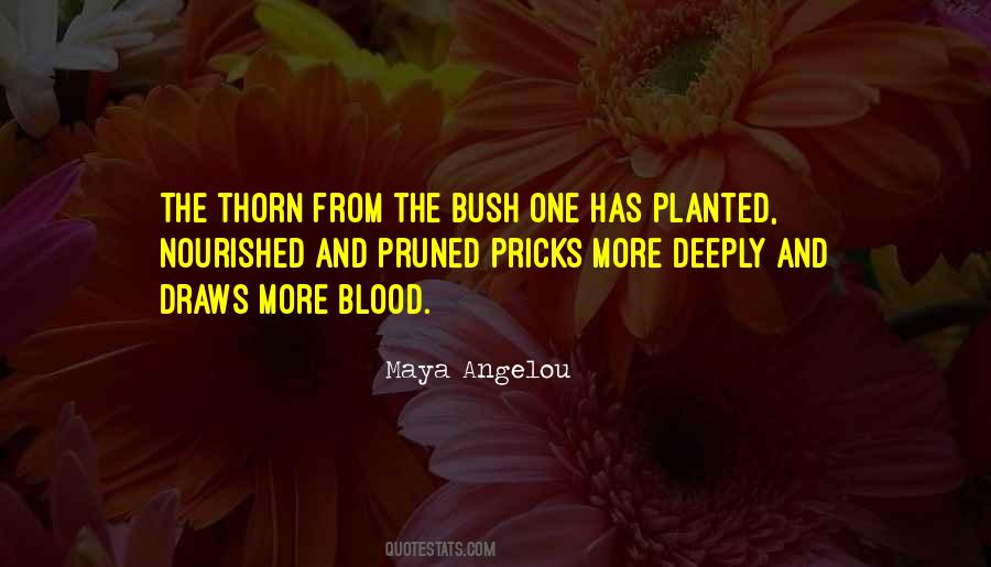 Thorn Bush Quotes #418439