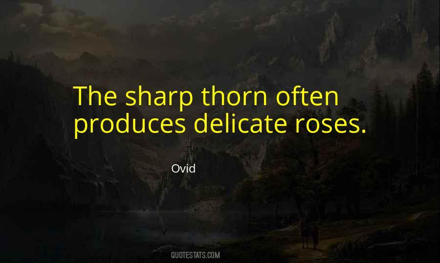 Thorn Quotes #1171377