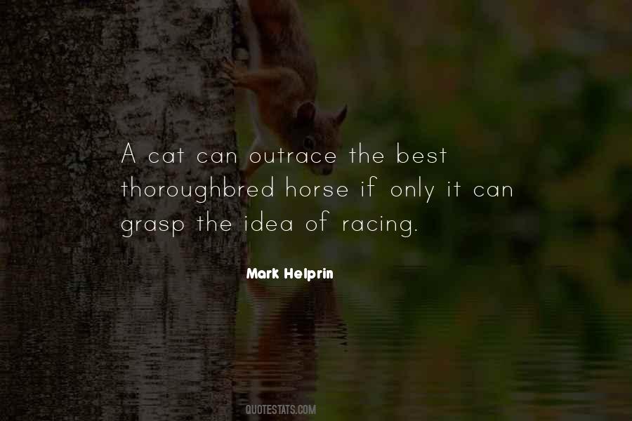 Thoroughbred Quotes #877116