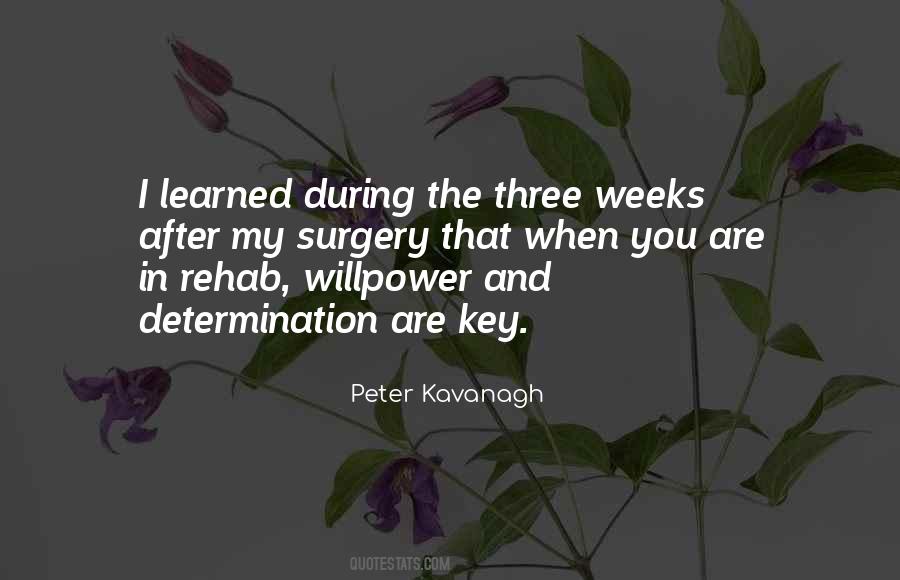 Three Weeks Quotes #1205269