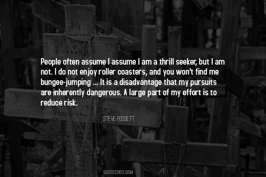 Thrill Seeker Quotes #1671611