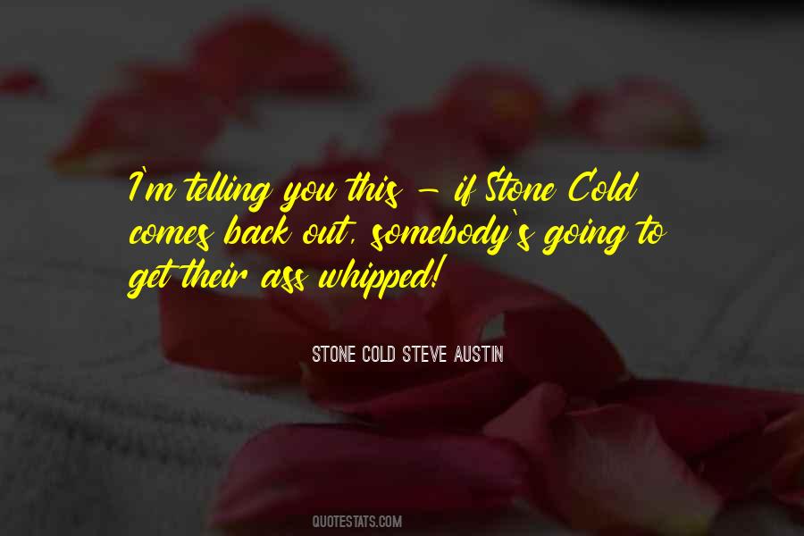 Quotes About Stone Cold Steve Austin #410030