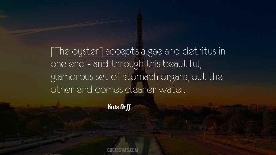 Through His Stomach Quotes #412560