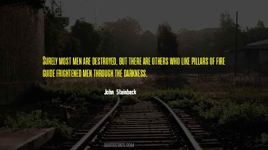 Through The Darkness Quotes #177431