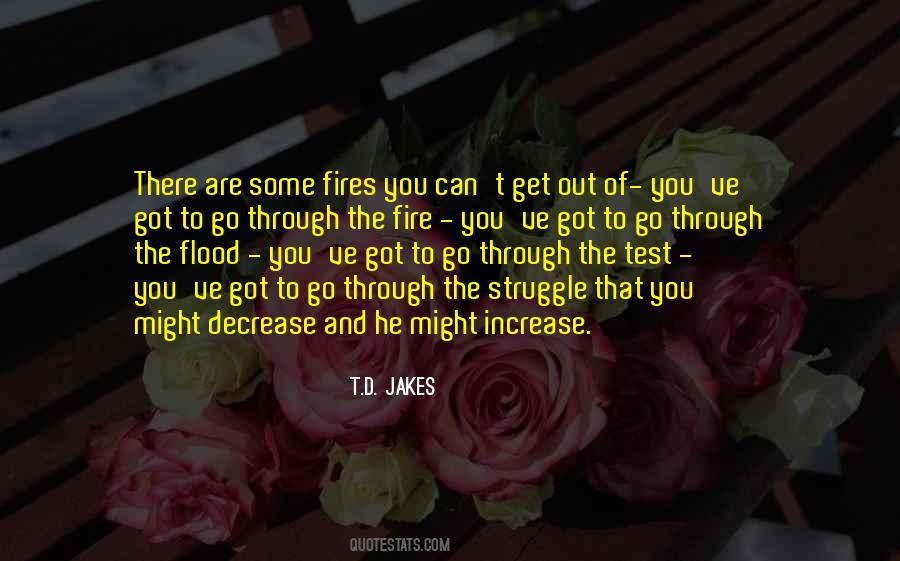 Through The Fire Quotes #367054