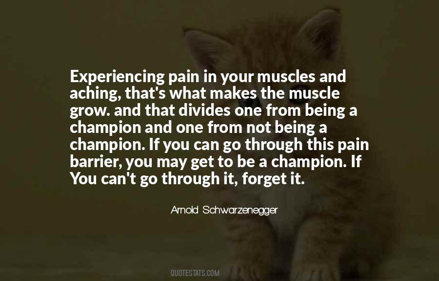 Through The Pain Quotes #136704