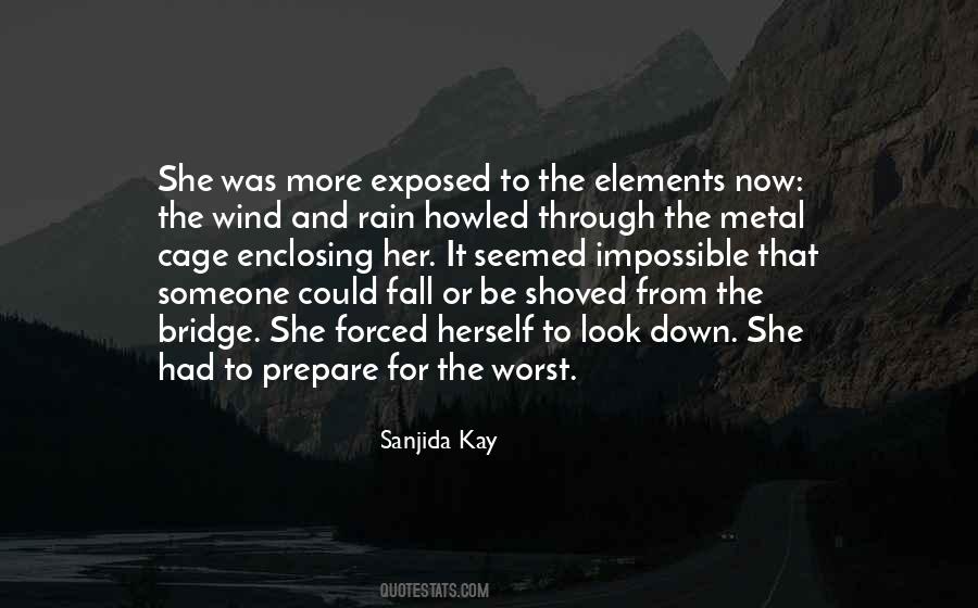 Through The Rain Quotes #976556