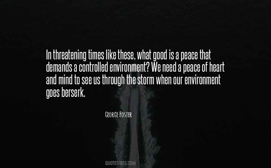 Through The Storms Quotes #1146763