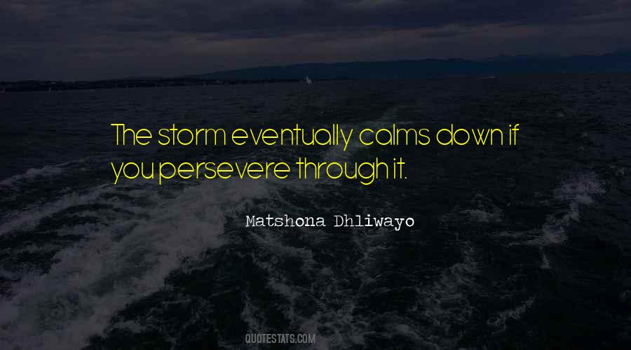 Through The Storms Quotes #1610152