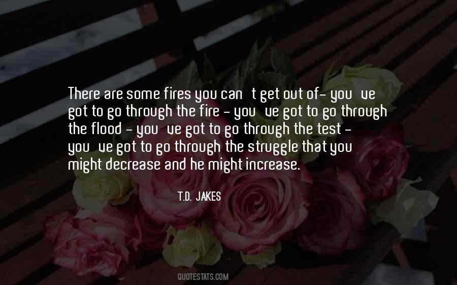 Through The Struggle Quotes #367054
