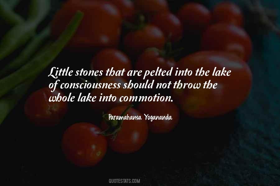 Throw Stones Quotes #1462512