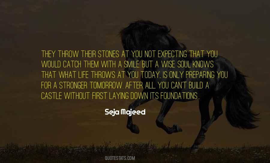 Throw Stones Quotes #1528019