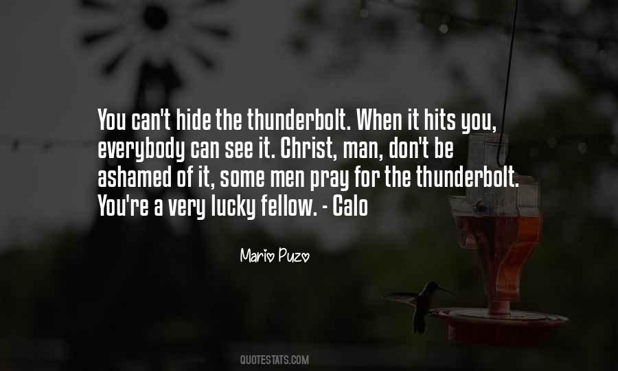 Thunderbolt Quotes #325047