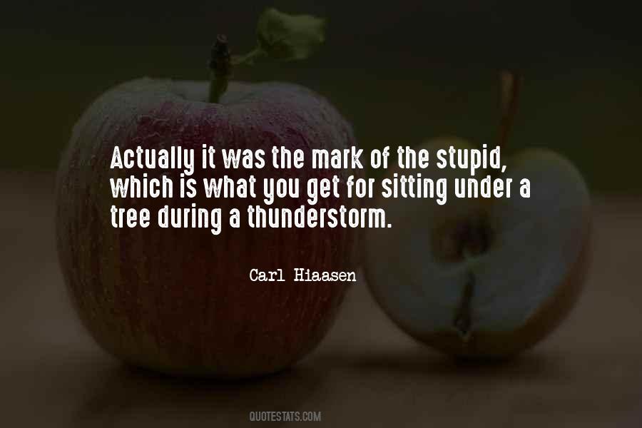 Thunderstorm Quotes #1493588