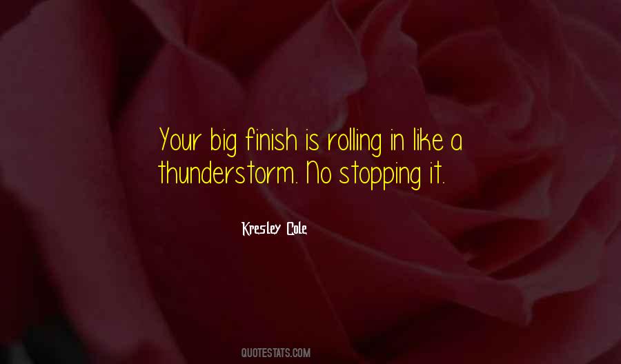 Thunderstorm Quotes #1806189