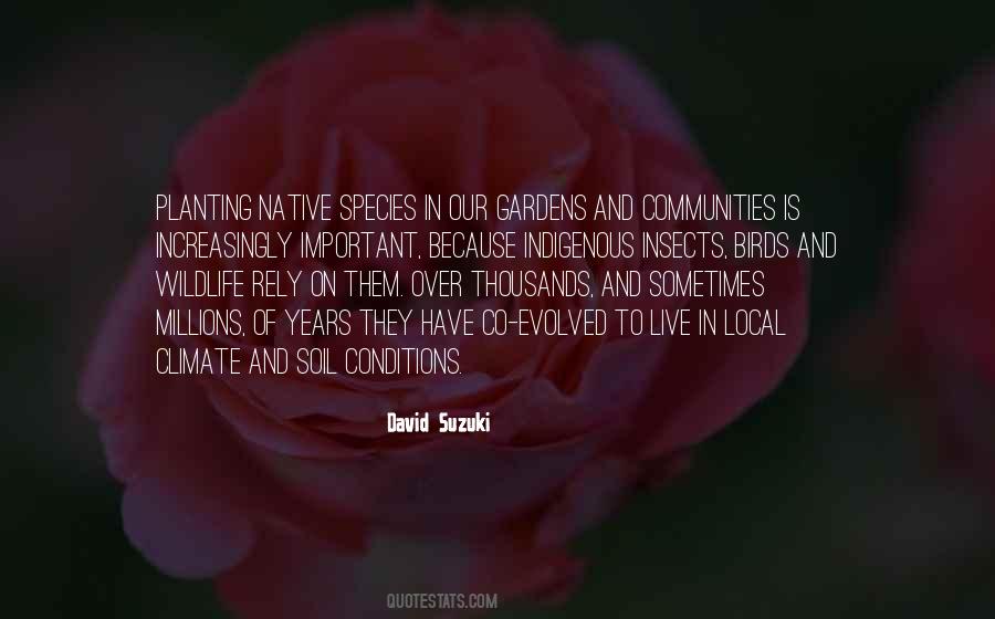 Quotes About David Suzuki #294238
