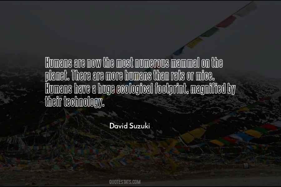 Quotes About David Suzuki #631674