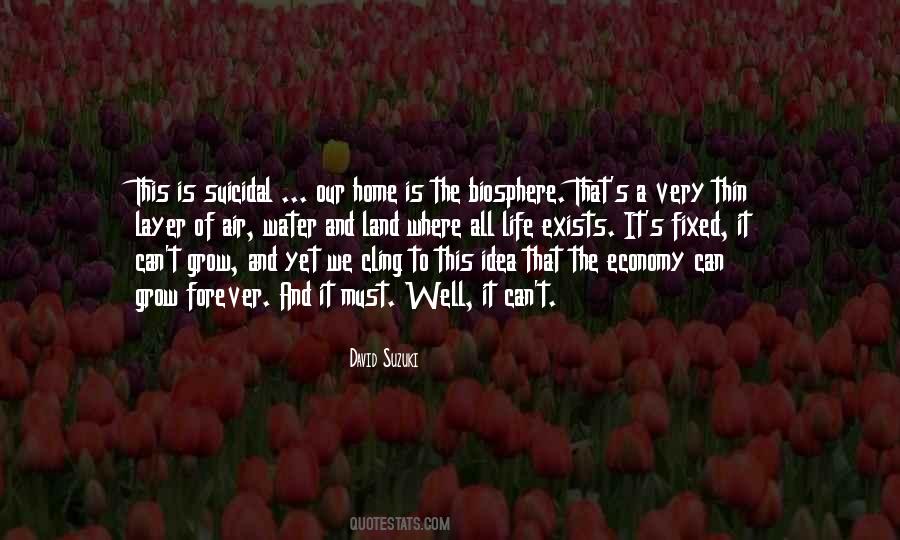 Quotes About David Suzuki #960380