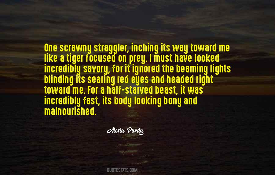 Tiger Prey Quotes #1831110