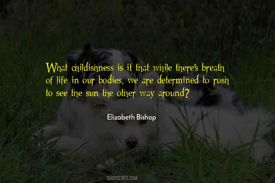 Quotes About Elizabeth Bishop #795960