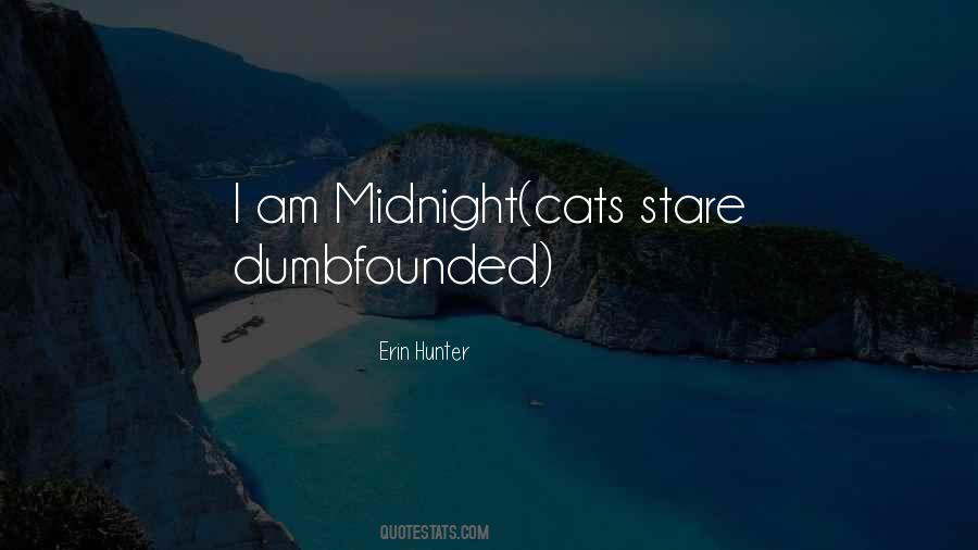 Quotes About Sheldon Cooper #1379014