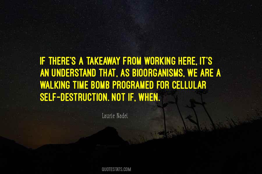 Time Bomb Quotes #38484