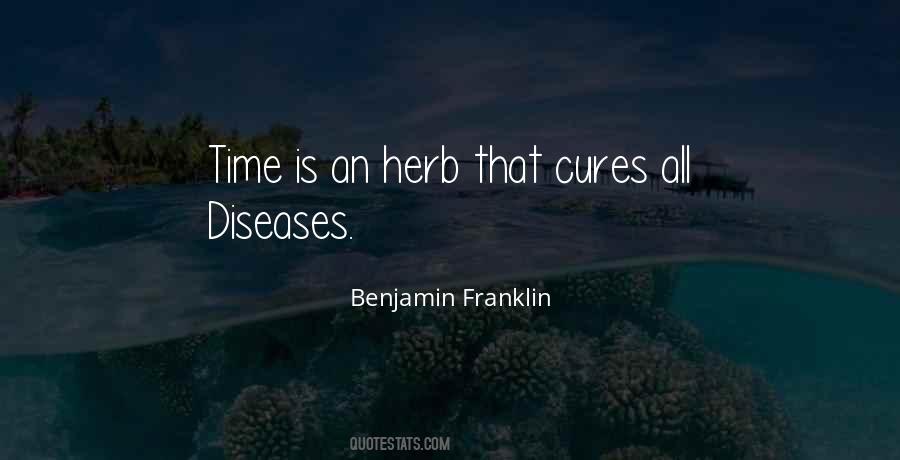 Time Cures All Quotes #232913