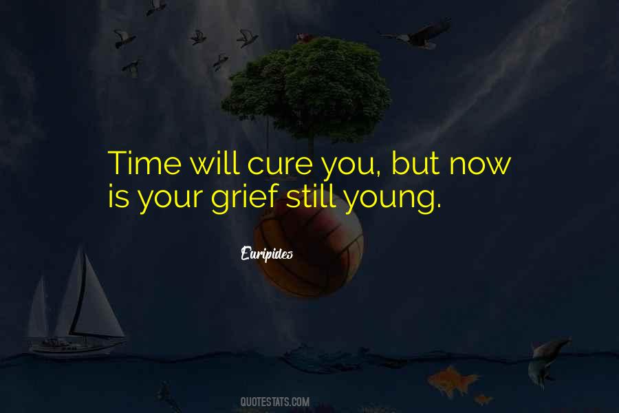 Time Cures Quotes #140747