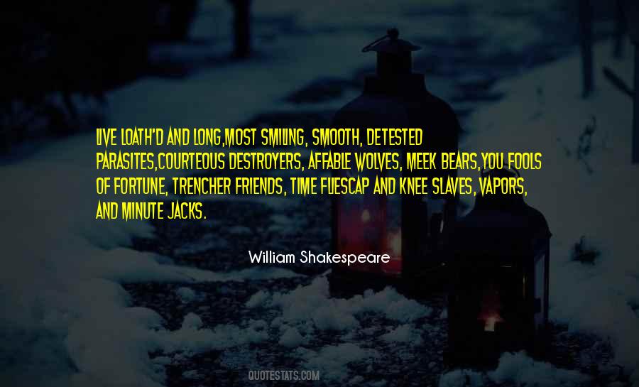 Time Flies Friends Quotes #721640