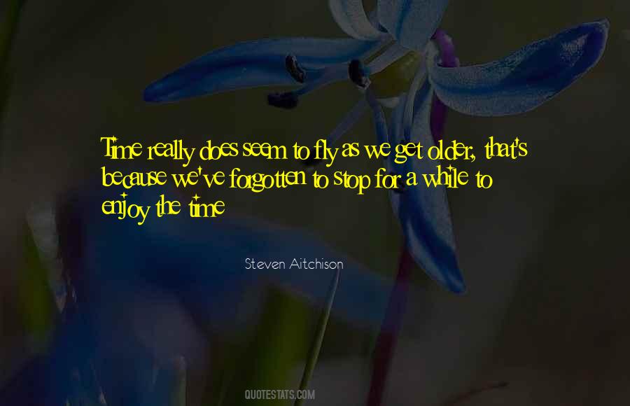 Time Fly Quotes #143168