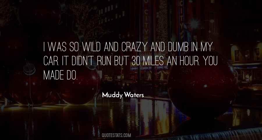 Quotes About Muddy Waters #1389945