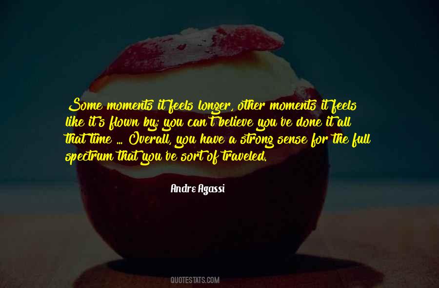Time Has Flown Quotes #140437
