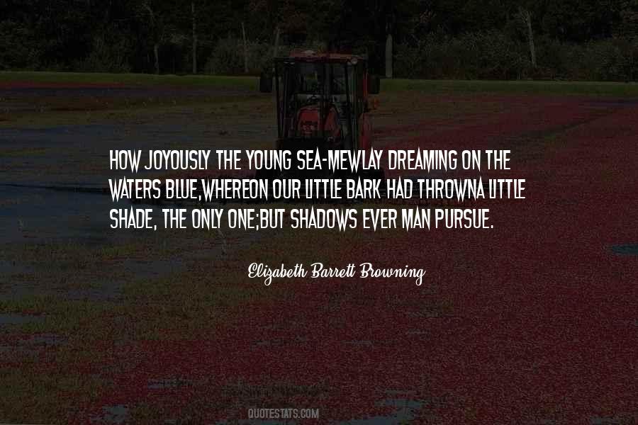 Quotes About Elizabeth Barrett Browning #202846