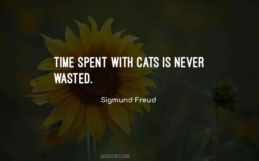Time Is Never Wasted Quotes #758080