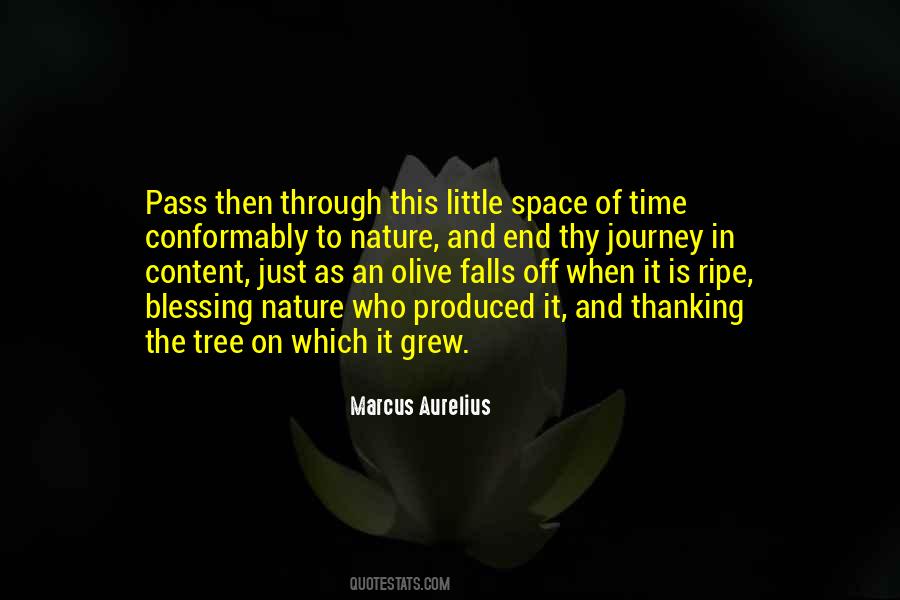 Time Is Ripe Quotes #418279