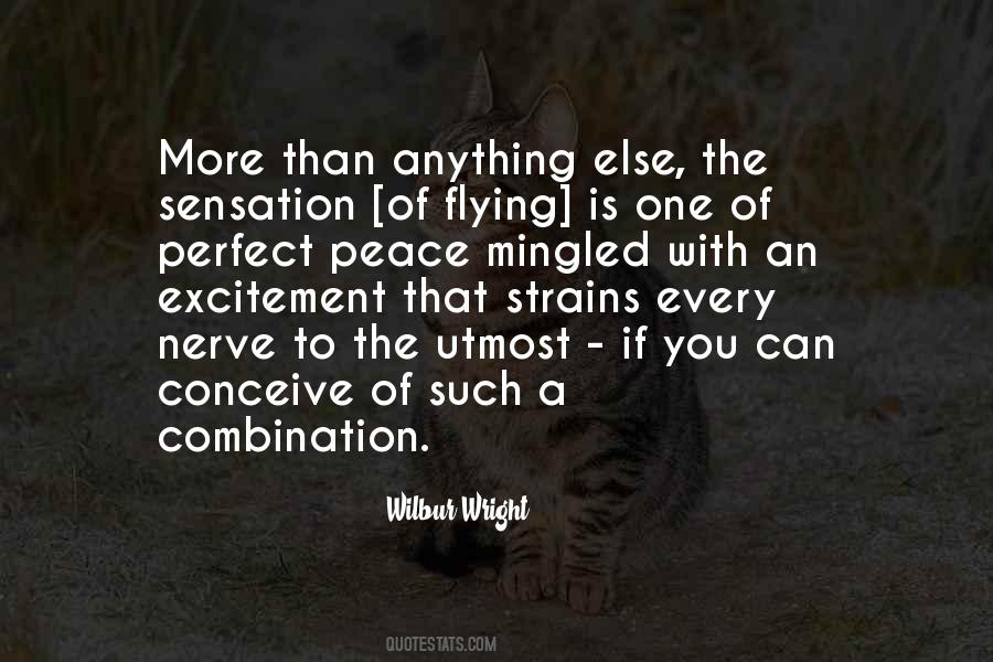 Quotes About Wilbur Wright #1403776
