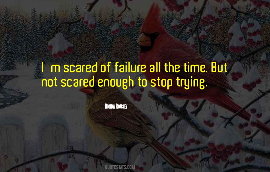 Time To Stop Trying Quotes #1643009