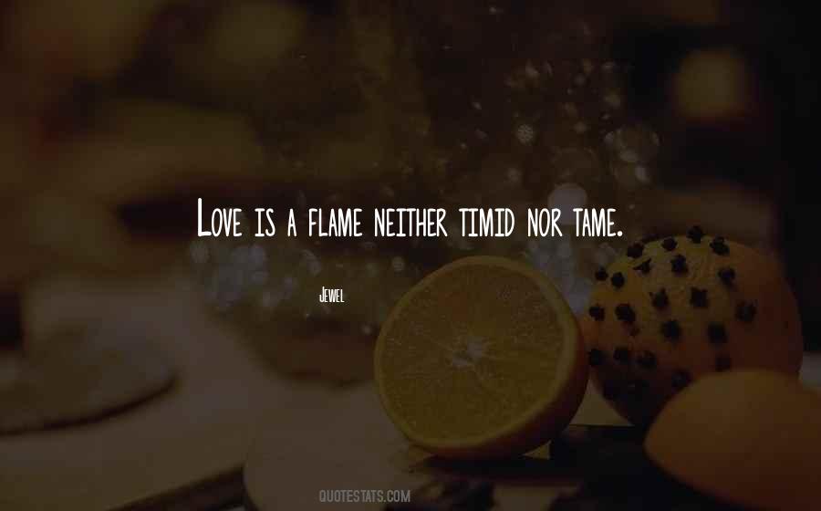 Timid Love Quotes #1028770