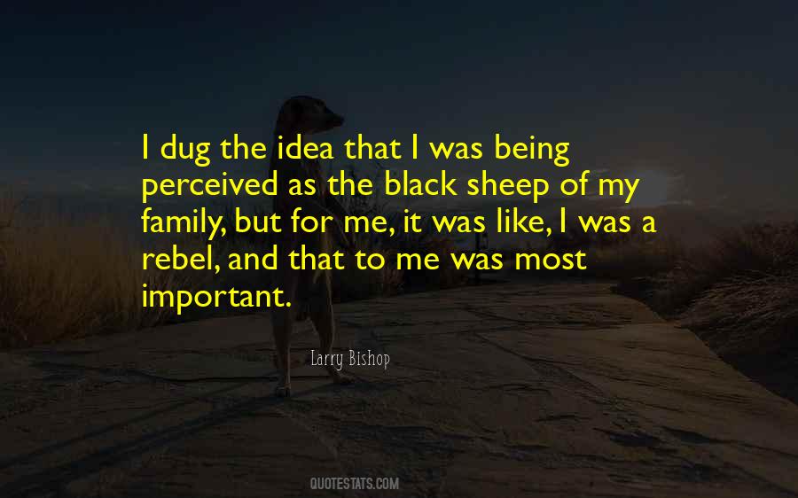 Quotes About Being Black Sheep In Family #1032851