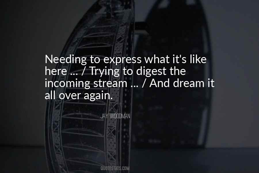 Tin Woodman Quotes #195325