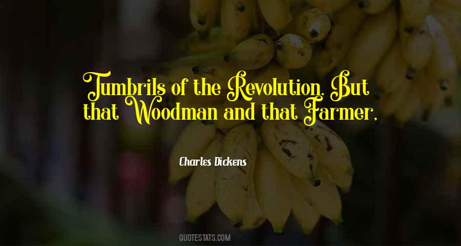 Tin Woodman Quotes #255926