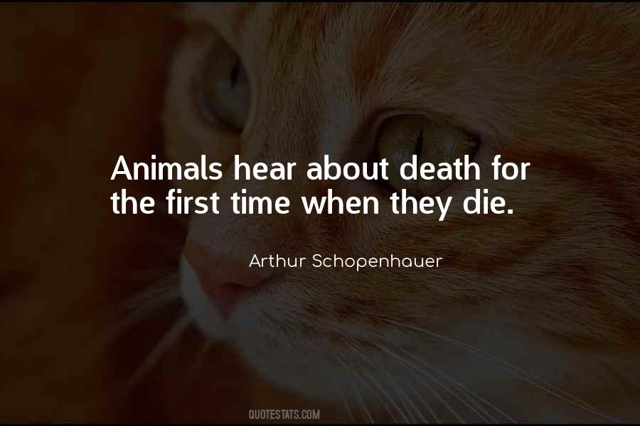 Quotes About Animals Death #661106